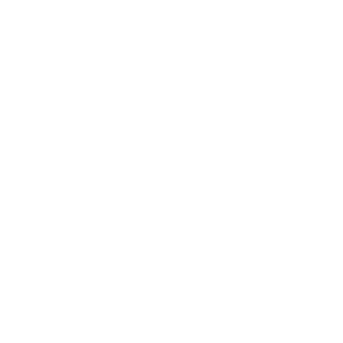 Challenges Text